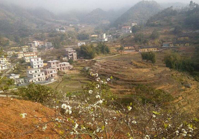 ��ɽ���½���һ����������Ź�·